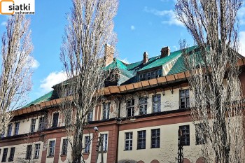Siatki Wodzisław Śląski - Siatki zabezpieczające stare dachy - zabezpieczenie na stare dachówki dla terenów Wodzisławia Śląskiego
